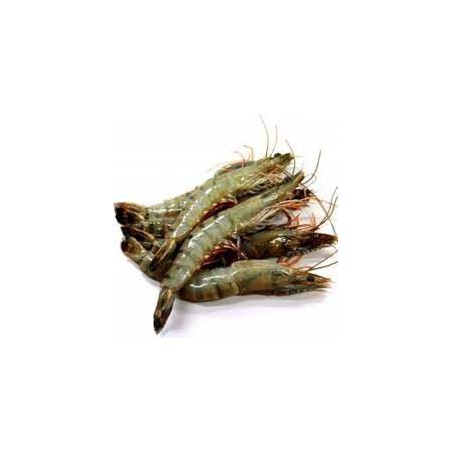 DaySeaDay, Crevetten white Tiger 30/40 ganz 1Kg